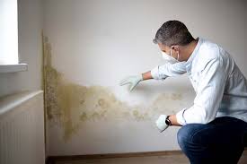 Best Mold Damage Restoration in Hartford, AL